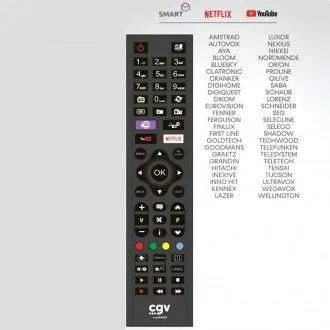CGV Télécommande universelle Fidelio MM - Télécommande de remplacement multi-marques sans programmation