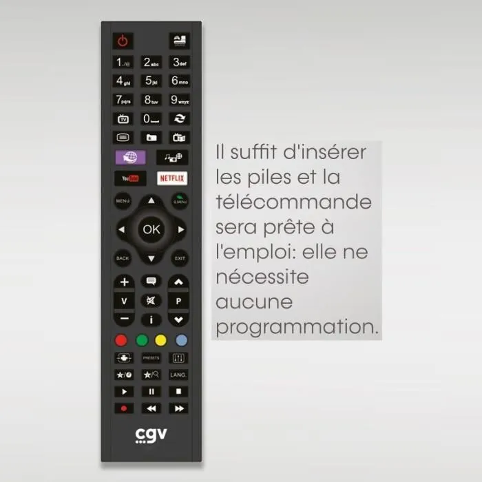 CGV Télécommande universelle Fidelio MM - Télécommande de remplacement multi-marques sans programmation
