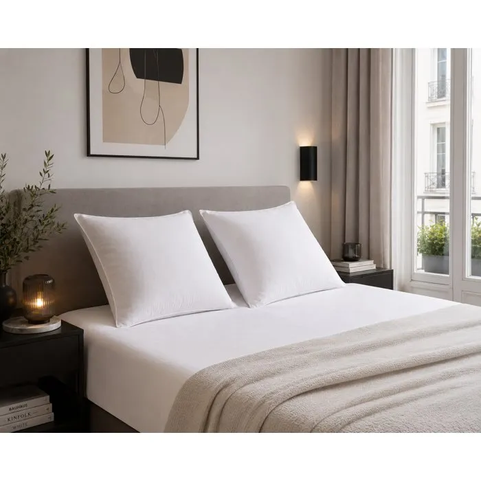 BLANREVE Lot de 2 Oreillers Microfibre Anti-Acariens - 60 x 60 cm - Blanc
