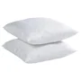 Lot de 2 Oreillers en Microfibre Anti-Acariens 60 cm x 60 cm - Enveloppe et Garnissage 100% Polyester - Fabrication Française