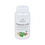 Betula Ginkgozin 3000 60 capsules