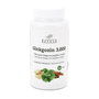 Betula Ginkgozin 3000 60 capsules