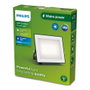 Philips Projecteur LED Lois 30W 3200lm 5000K Blanc Froid IP65 Noir