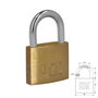 WOLFPACK LINEA PROFESIONAL Chaîne en laiton 40 mm anse normale