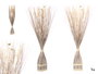 Giftdecor Ramillete carré blanc 14x100x10 cm en matière végétale sèche (Set de 4)