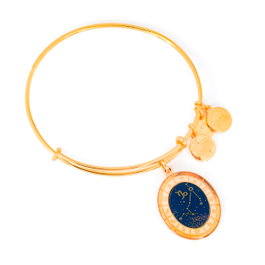 Alex And Ani Pulsera Capricorne Dorée 20cm