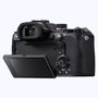 Sony DSC-RX10 V