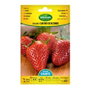 Agreen Sachet de graines de fraisiers 4 saisons