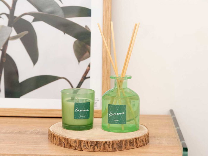 Acorde Mikado 250 ml Vert Verre Parfum Lotophages avec Tige 8 x 12 x 8 cm (Set de 6)