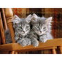 Clementoni Puzzle Chatons High Quality Collection 500 pièces