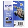 Epson Cartouche d'encre T1579 Gris clair pour Stylus Photo R3000