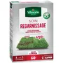 Vilmorin - Semences de gazon Soin regarnissage universel express 2 en 1 - 1 kg - Réparation rapide sans labour - Pour 60 m²