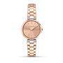 Montre Femme Trussardi R2453164506