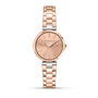 Montre Femme Trussardi R2453164506