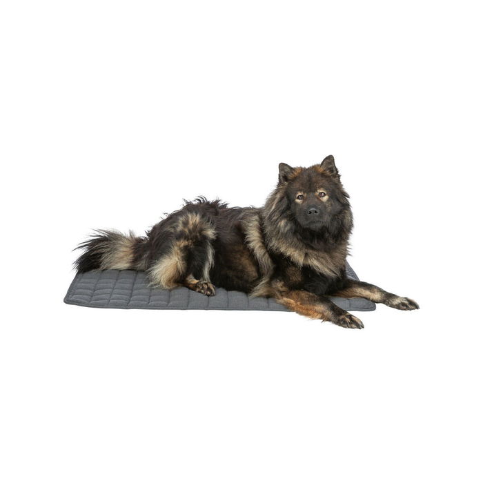 Matelas Trixie Gris foncé 120 × 80 CM Chien