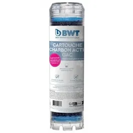 BWT Cartouche de charbon actif granulé, capacité de traitement ~6 mois, 120 mm, débit 2 m3/h, 20 microns, pour filtre eau