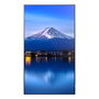Moniteur Videowall Sharp 60005911 4K Ultra HD 42,5"