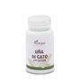 PLANTAPOL Uña de Gato 550mg 90 comprimés