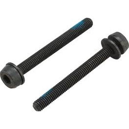 Campagnolo 2 x Vis 44 mm pour Montage Arrière 35-39 mm