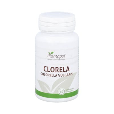 PLANTAPOL Chlorella 435 mg 60 Comprimés Complément Alimentaire Riche en Chlorophylle, Protéines, Vitamines et Minéraux PLANTAPOL Chlorella 435 mg 60 Comprimés Complément Alimentaire Riche en Chlorophylle, Protéines, Vitamines et Minéraux