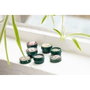 The Body Shop MANGO lip butter 10 ml