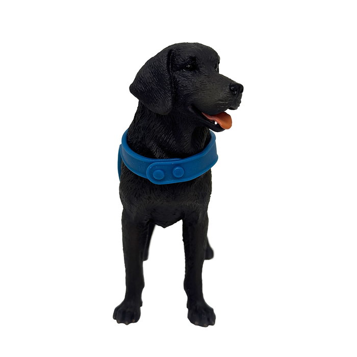 DEQUBE Labrador Retriever Noir avec Gilet Bocalán DEQUBE Labrador Retriever Noir avec Gilet Bocalán