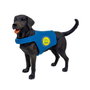 DEQUBE Labrador Retriever Noir avec Gilet Bocalán