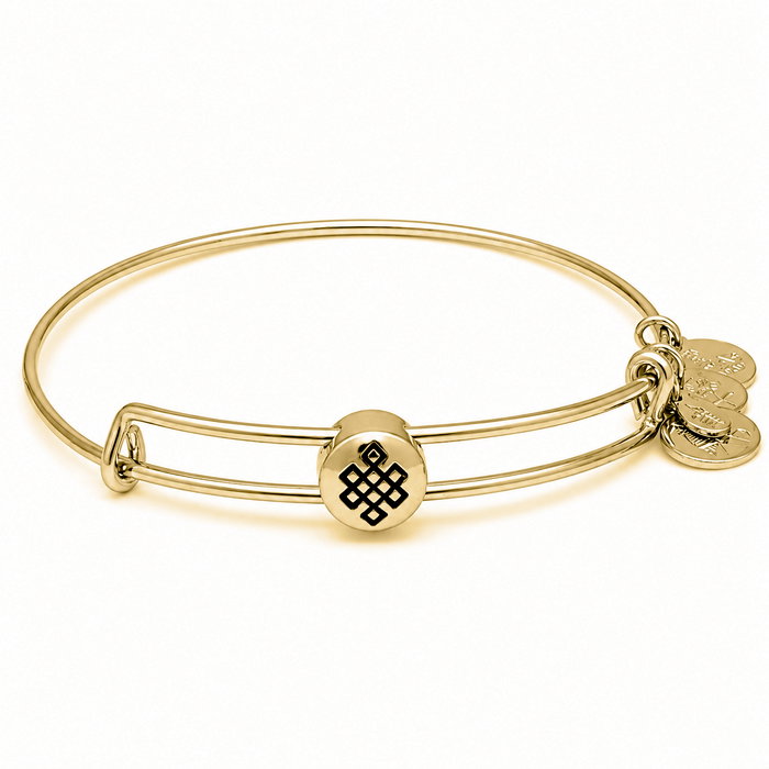 Alex And Ani Bracelet Doré Ajustable pour Femme Alex And Ani Bracelet Doré Ajustable pour Femme