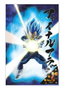 Funko Poster 3D 58x38 cm Universe Survival Vegeta Dragon Ball Super