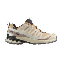 Chaussures de trail pour femmes Salomon XA Pro 3 V9 GTX Marron Clair XL