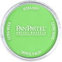 Panpastel 660.7 Vert oxyde de chrome clair