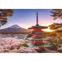 Ravensburger Puzzle 1000 pièces - Cerisiers en fleurs du Mont Fuji - Pour adultes et enfants dès 14 ans - 12000582