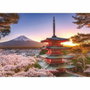 Ravensburger Puzzle 1000 pièces Cerisiers en fleurs du Mont Fuji