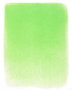 Panpastel 690.7 Vert jaunâtre clair