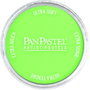 Panpastel 690.7 Vert jaunâtre clair