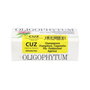 Holistica Oligophytum Cobre, Zinc (H15 CUZ) 100 granulés