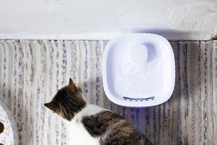 Mascow Fontaine pour animal de compagnie 19,5x13,5x19,5 cm en plastique blanc 3L avec filtrage silencieux et indicateur de niveau d'eau (Set de 4) Mascow Fontaine pour animal de compagnie 19,5x13,5x19,5 cm en plastique blanc 3L avec filtrage silencieux et indicateur de niveau d'eau (Set de 4)