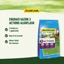 Algoflash Naturasol - Engrais pour gazon - 3 actions - 3 kg - NPK 6-3-4 - Anti-mousse et mauvaises herbes - Mini-granulés sans poussière ni odeur