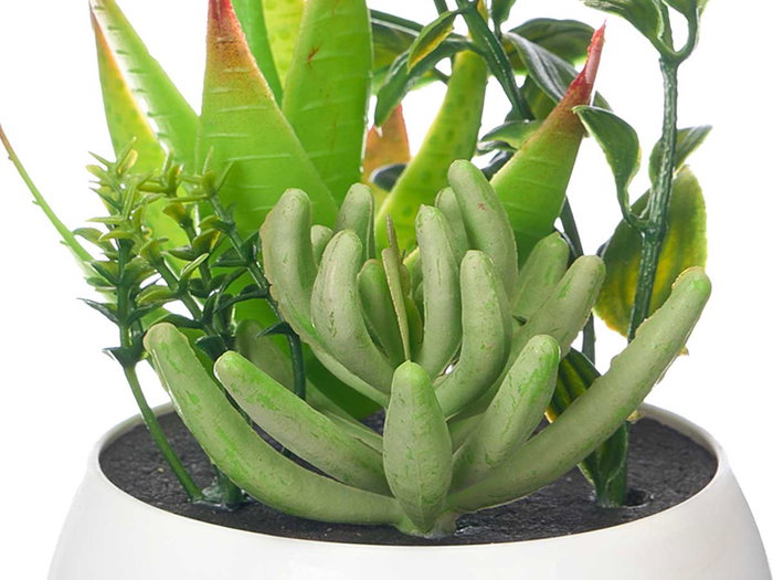 Ibergarden Macette Ronde Blanche et Verte Surt 6 en Plastique 8x16x8 cm (Set de 24)