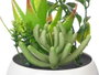Ibergarden Macette Ronde Blanche et Verte Surt 6 en Plastique 8x16x8 cm (Set de 24)