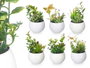 Ibergarden Macette Ronde Blanche et Verte Surt 6 en Plastique 8x16x8 cm (Set de 24)