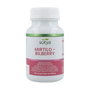 SOTYA Mirtilo - Bilberry 100 comprimés de 500mg