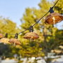 Lumisky Guirlande lumineuse Cottage 5,70 m - 10 globes transparents - LED blanc chaud - Beige