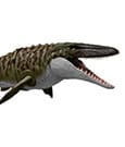 Mattel Jurassic World Mosasaurus Bite 'n Blast - 65 cm Mattel Jurassic World Mosasaurus Bite 'n Blast - 65 cm