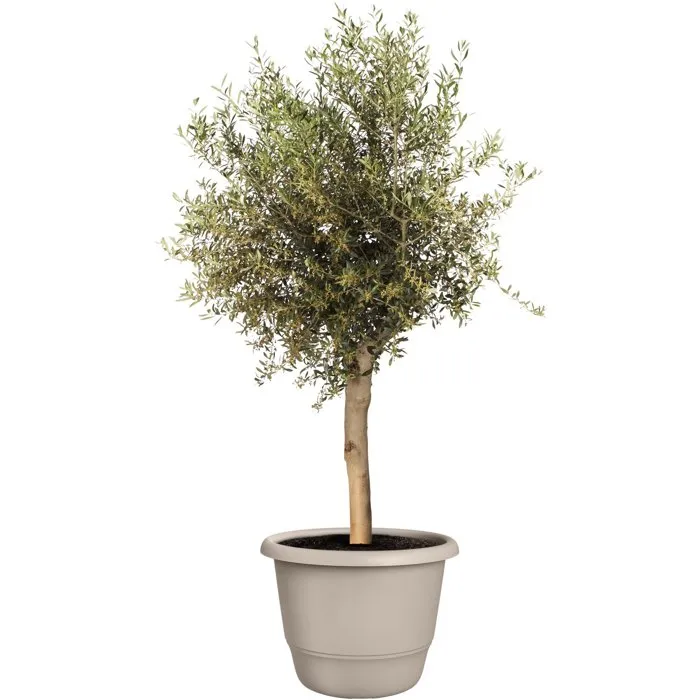 ELHO Amiga Rond 55 - Pot de fleur rond extérieur en plastique recyclé - 55 L - Ø 55 x H 51 cm - Beige