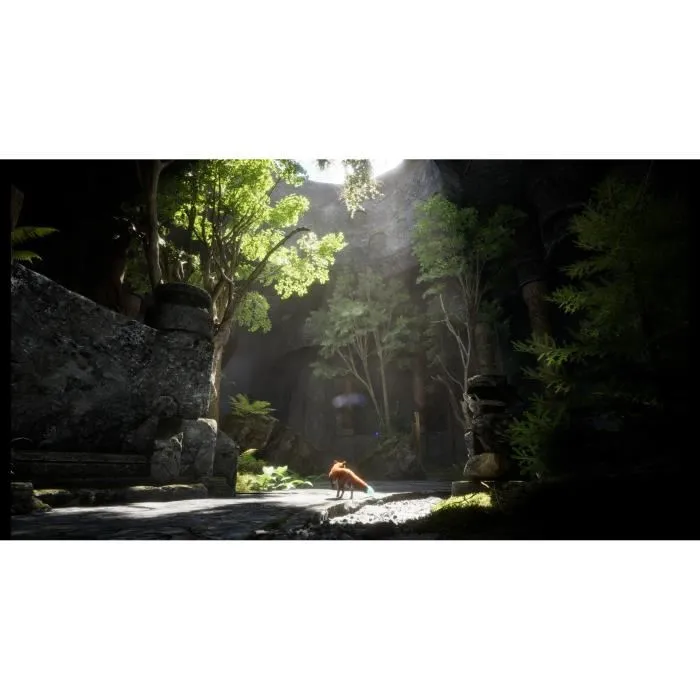 Just For Games Spirit of the North 2 - Jeu pour PlayStation 5 (PS5) | Aventure mystique dans le Grand Nord