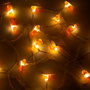 Guirlande LED d'intérieur 3M Blanc chaud