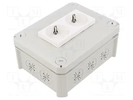OBO BETTERMANN Boîtier de raccordement gris clair 2 prises EU IP30