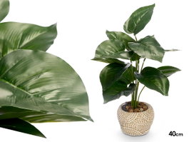 Ibergarden Maceta Planta Hoja Punta 21 x 40 x 21 cm Plastique Gris Vert (Set de 8)