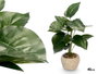 Ibergarden Maceta Planta Hoja Punta 21 x 40 x 21 cm Plastique Gris Vert (Set de 8)